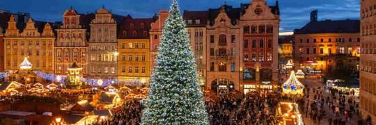 Wrocław szykuje świąteczne iluminacje. Na Rynku stanie choinka, do której będzie można wejść