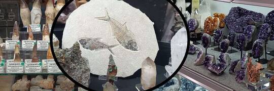[ZDJĘCIA] Zobacz wyjątkowe minerały i skamieniałości z Targów Kamieni i Minerałów we Wrocławiu