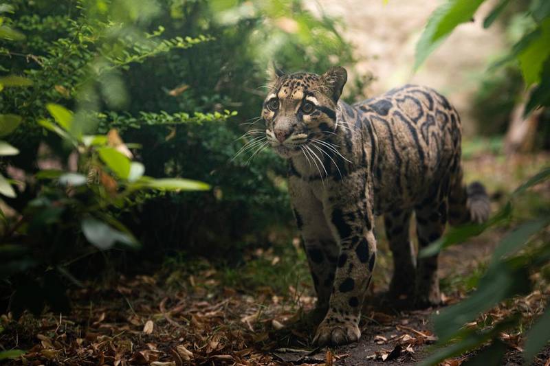 fot. ZOO Wrocław