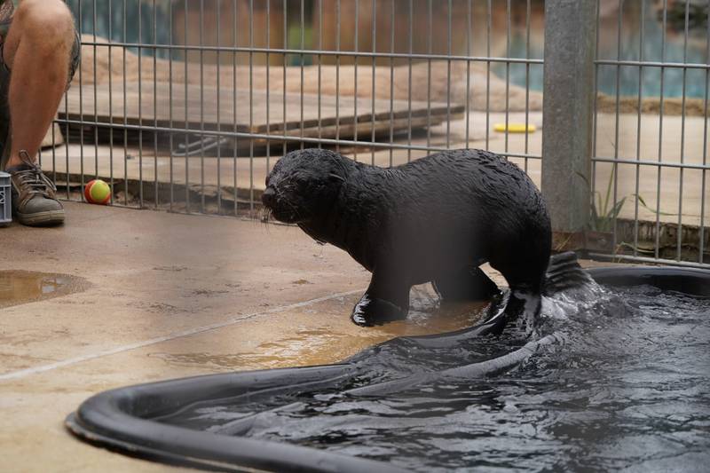 fot. ZOO Wrocław