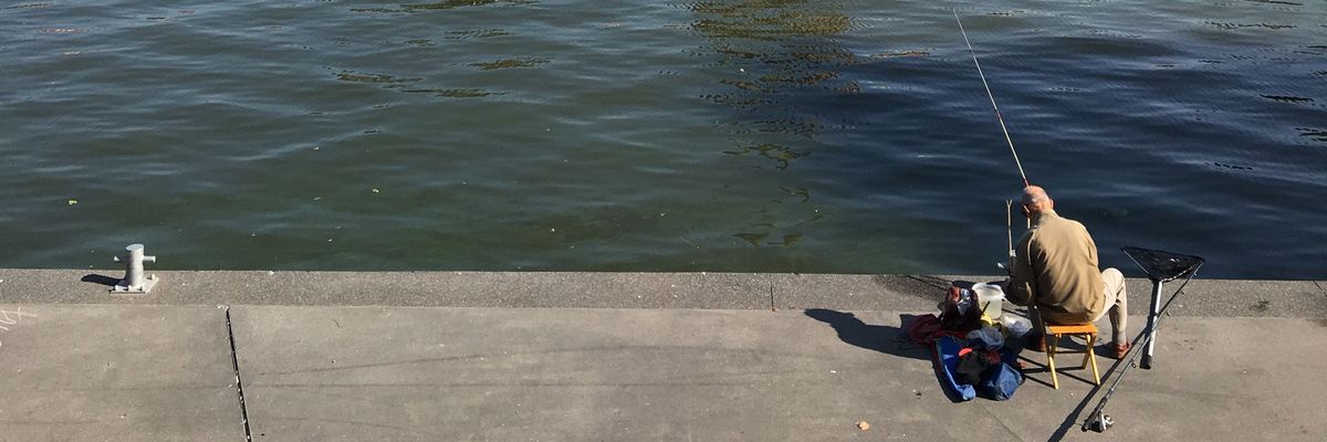 Odra zatruta rtęcią? Niemieckie władze wciąż tego nie potwierdziły