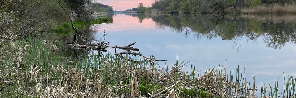 Забруднення Одри