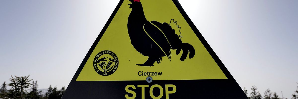 Karkonosze: Od 1 kwietnia zamknięta będzie część szlaków