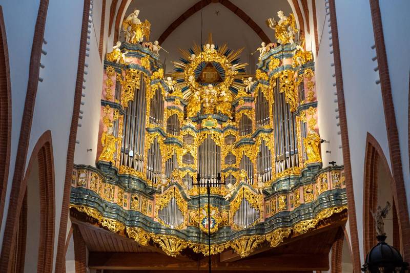 Organy Englera / fot. UM Wrocławia