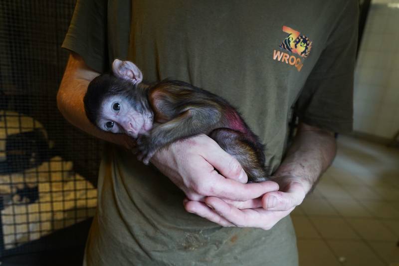 fot. ZOO Wrocław
