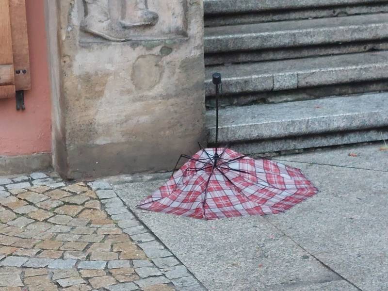 fot. Czytelnik Michał