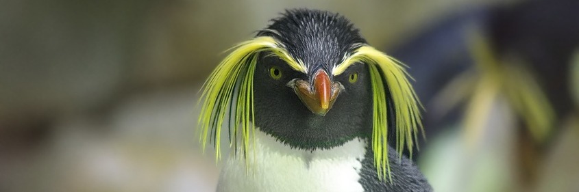 ЗООПАРК Вроцлава
