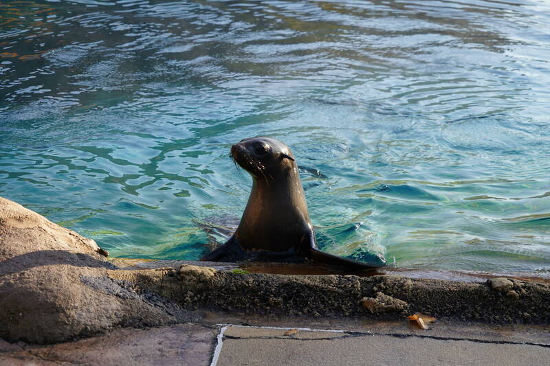 fot. ZOO Wrocław
