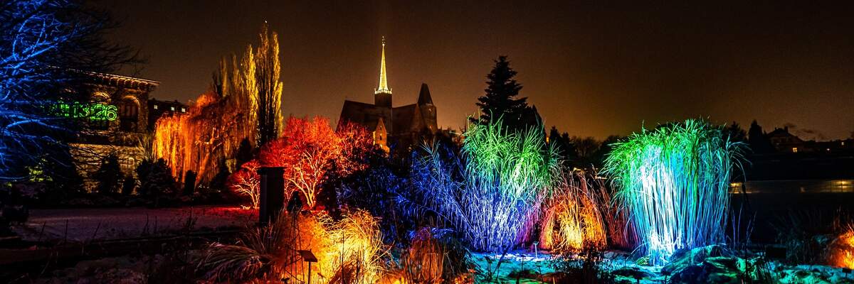 W piątek rusza Światłogród! Wrocław będzie miał swój park ze świątecznymi iluminacjami