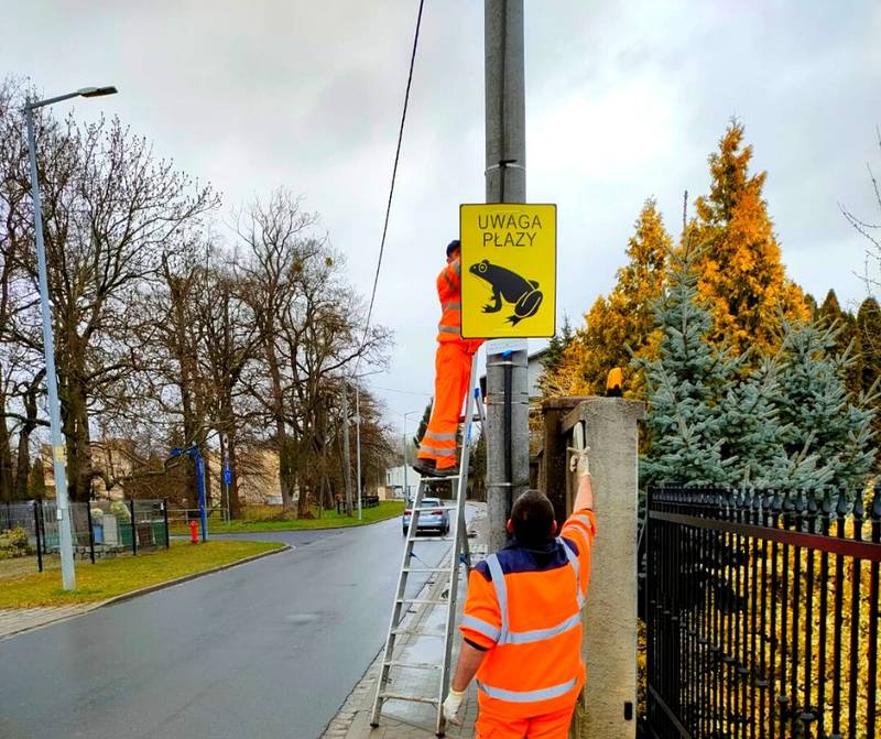 Znak Uwaga płazy / fot. Zarząd Dróg i Utrzymania Miasta