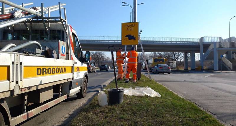 Uwaga jeże / fot. Zarząd Dróg i Utrzymania Miasta