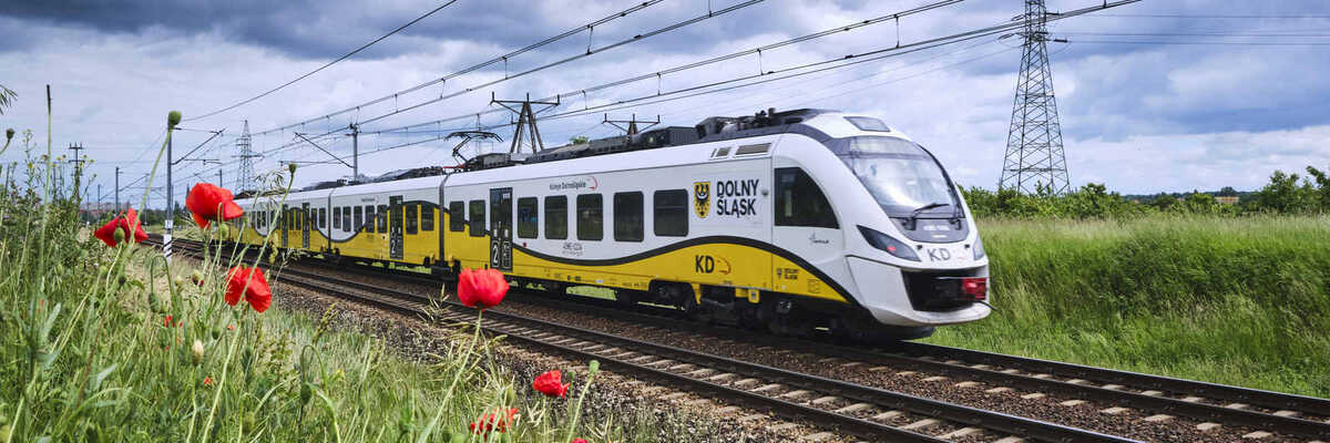 Koleje Dolnośląskie policzyły pasażerów. Jest lepiej niż przed pandemią!