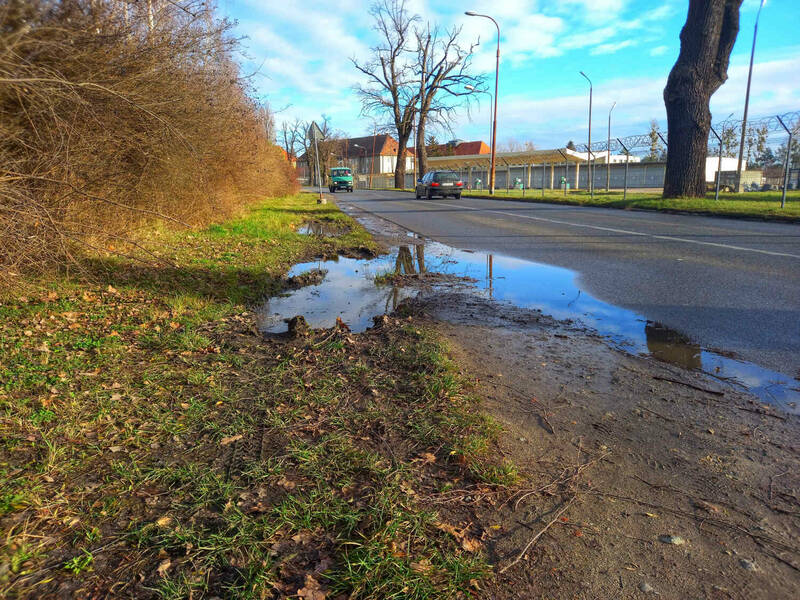 fot. ZDiUM Wrocław