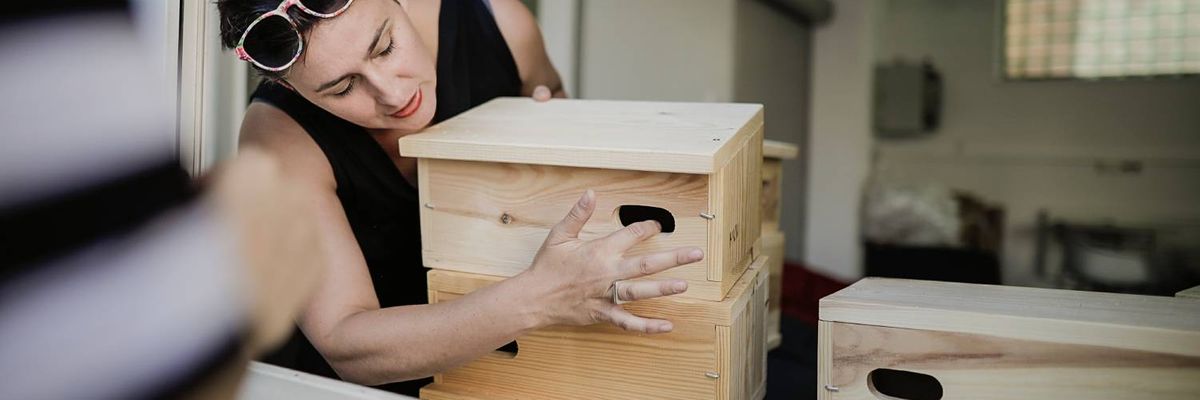 Jerzyki pomogą zwalczyć plagę komarów we Wrocławiu. Tu za darmo zrobisz budkę dla tych pożytecznych ptaków