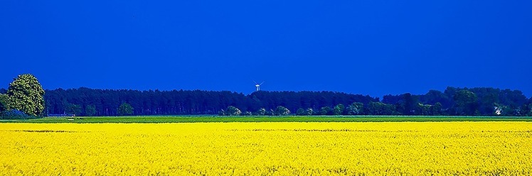 Вечір українського кіно у Вроцлаві