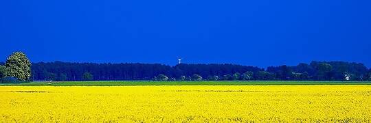 Вечір українського кіно у Вроцлаві