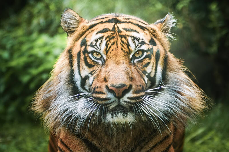 fot. ZOO Wrocław