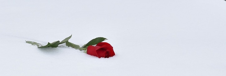 1 березня у Польщі - Національний день пам'яті “Проклятих солдатів”