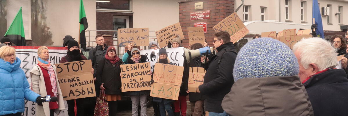 Ekolodzy protestowali przeciwko wycince lasu we Wrocławiu [ZDJĘCIA]