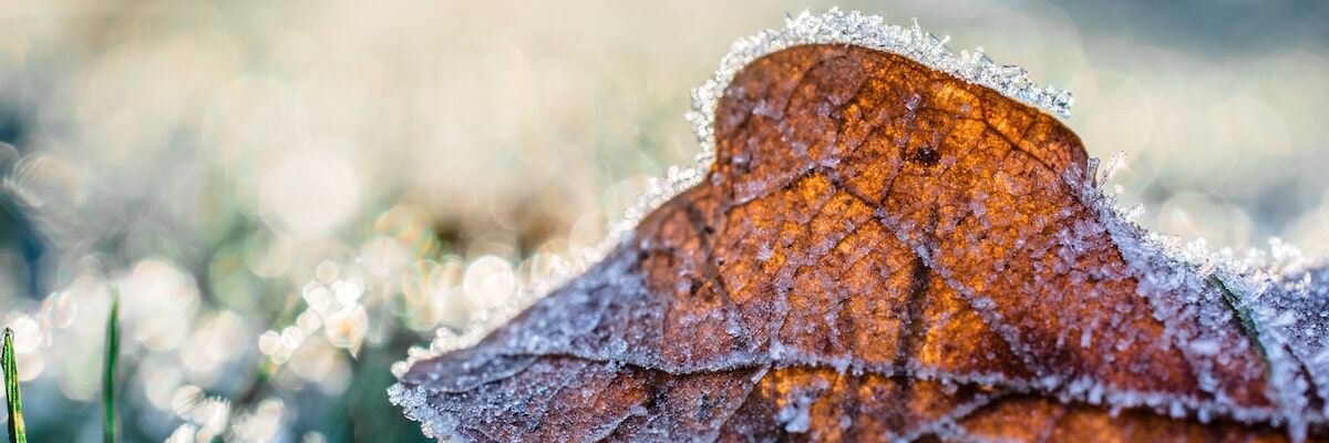 Do Wrocławia wraca zima. IMGW przestrzega: W nocy nawet -8°C