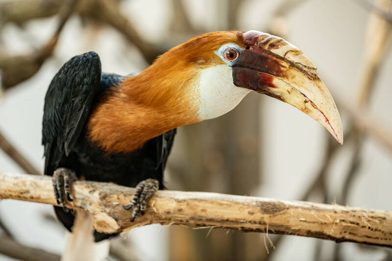 fot. ZOO Wrocław