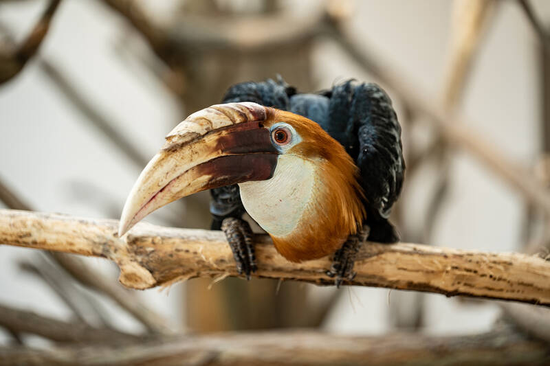 fot. ZOO Wrocław