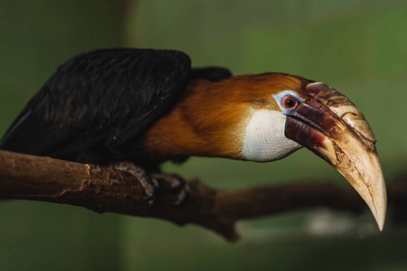 fot. ZOO Wrocław