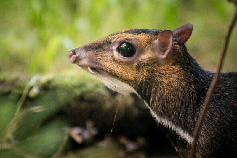 fot. ZOO Wrocław