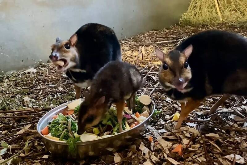 fot. ZOO Wrocław