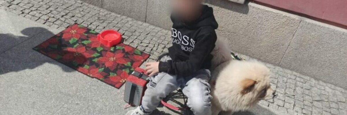 Mały chłopiec ze słodkim pieskiem żebrał na wrocławskim Rynku. Jego matka dostała 500 zł mandatu