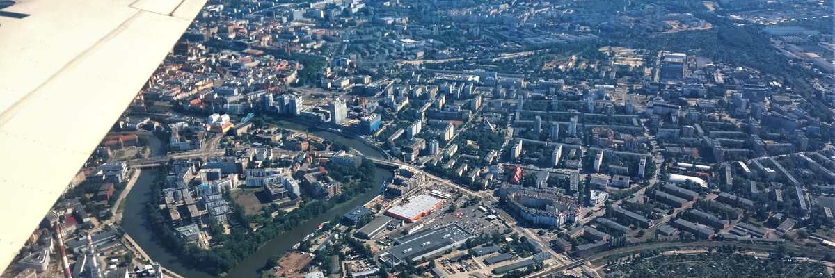 Wrocław przygotowuje Mapę Koron Drzew. Co to takiego i do czego będzie służyć?
