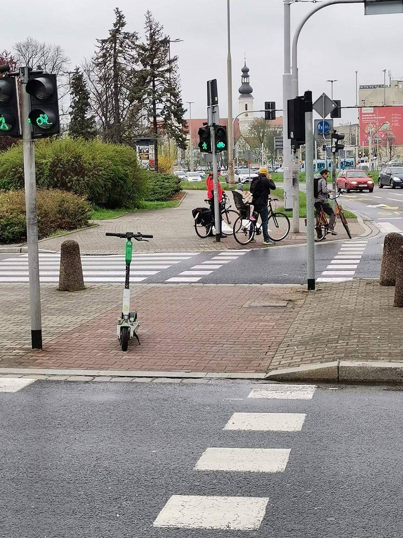 fot. Straż Miejska Wrocławia