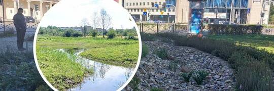Wrocław ma Strategię Gospodarowania Wodami Opadowymi. Dzięki temu mamy uniknąć skutków opadów ekstremalnych