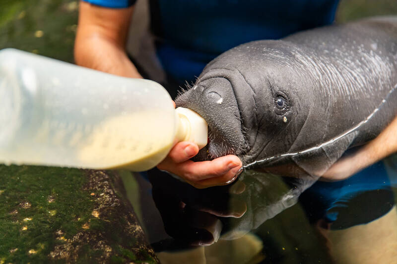 fot. ZOO WROCŁAW