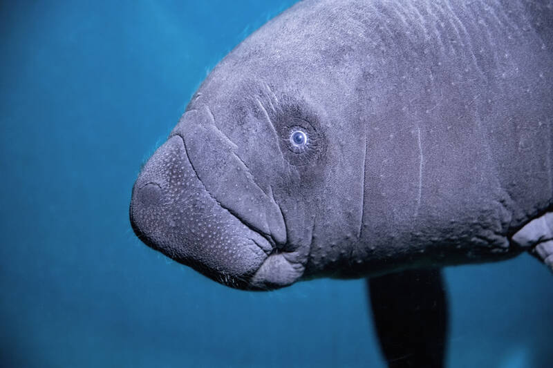 fot. ZOO WROCŁAW