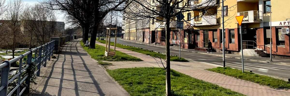Czy w tym roku miasto też zarośnie trawami? Oto zasady EKOszenia 2022 we Wrocławiu