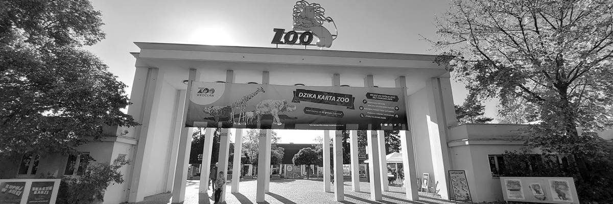 Nie żyje Hanna Gucwińska. Miała 91 lat