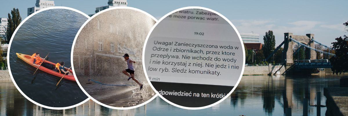 Złote algi w Odrze. NIK opublikował wyniki kontroli po katastrofie ekologicznej