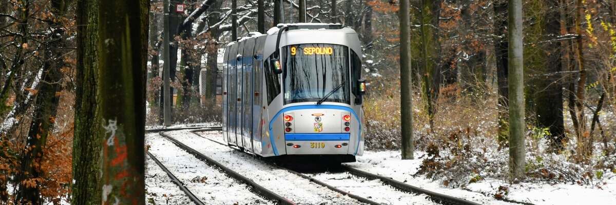 MPK Wrocław w Wigilię i Boże Narodzenie. Niektóre linie będą jeździć tylko do 15:00