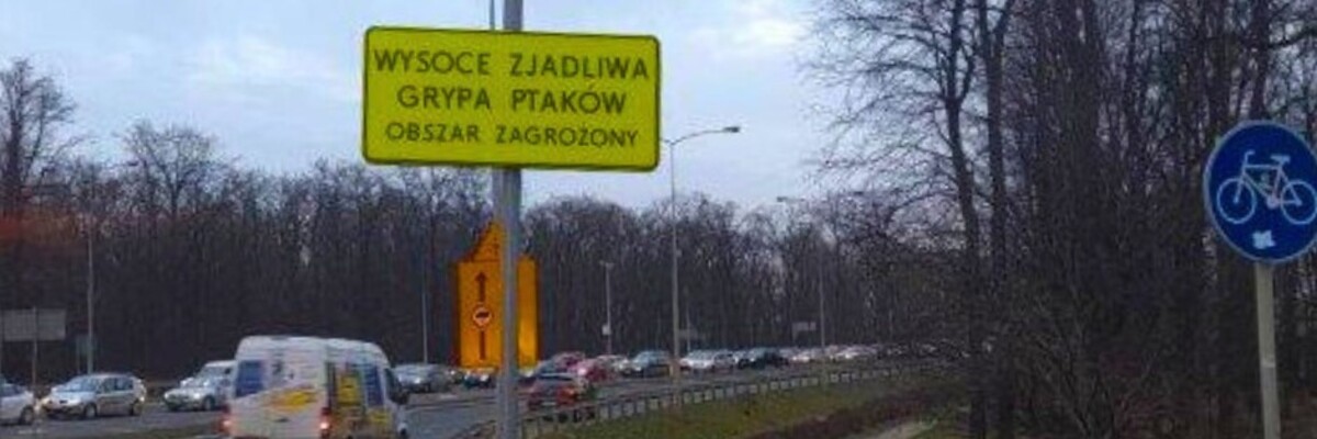 Część Wrocławia to obszar zagrożony ptasią grypą. ZDiUM oznaczył teren specjalnymi tablicami [LOKALIZACJE]