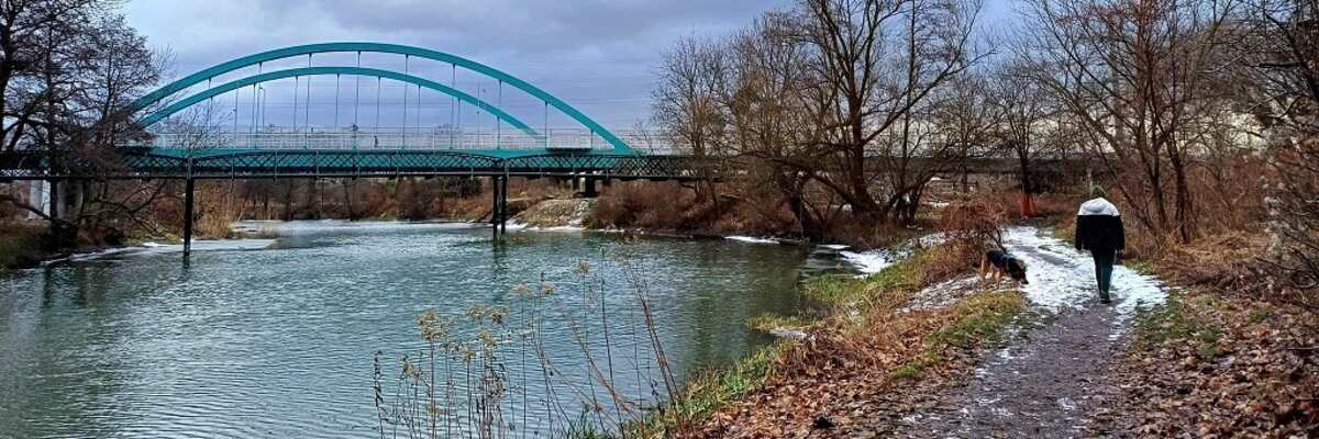 Wrocław: Ruszyła budowa malowniczej ścieżki nad Oławą [ZDJĘCIA]