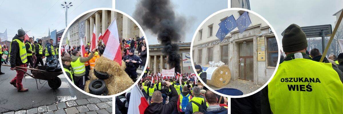 Protest Rolników we Wrocławiu. Rzucali jajkami w urzędy i palili opony [DUŻO ZDJĘĆ, WIDEO]