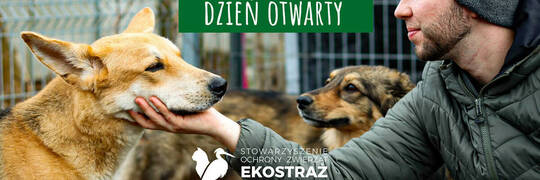 W niedzielę Adopcyjny Dzień Otwarty w Ekostraży