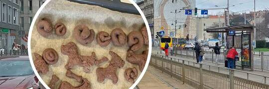 Wrocław: Ciastka w kształcie… psiej kupy wracają na Nadodrze. W czwartek będą nimi częstować za darmo