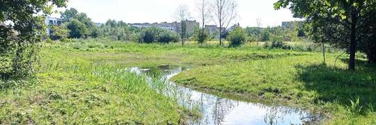 Park Krzycki w sobotę zostanie oficjalnie otwarty. Są tu oczka wodne i malownicze ścieżki spacerowe