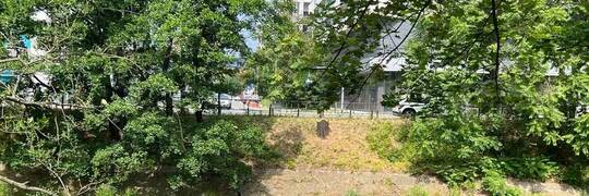 We Wrocławiu powstanie nowa kładka pieszo-rowerowa