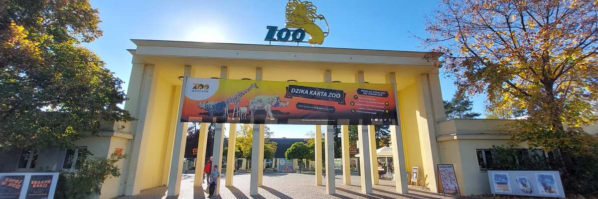 Prezes wrocławskiego zoo zdymisjonowana! Ogrodem przez najbliższe miesiące będzie kierował były radny miejski