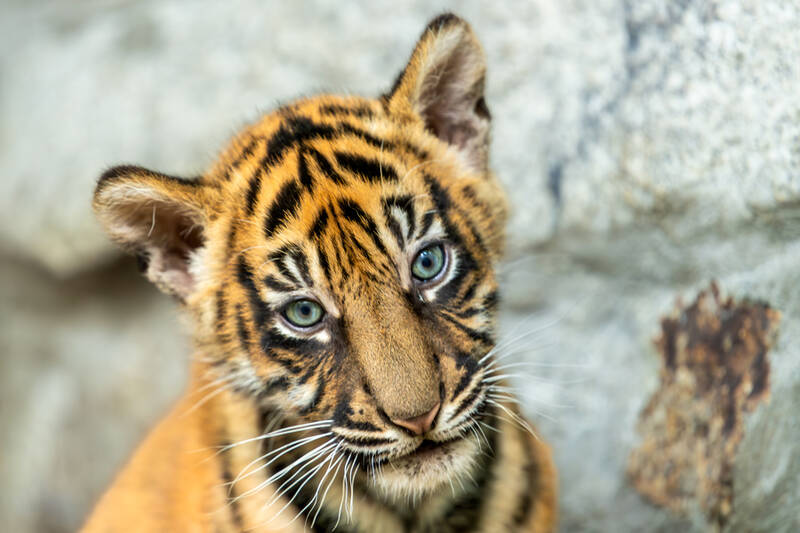 fot. ZOO Wrocław