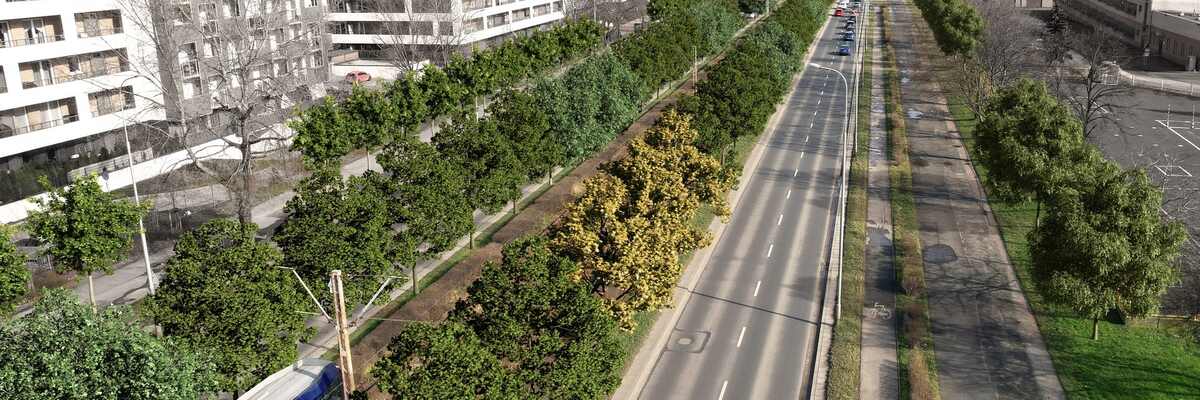 Torowisko na Armii Krajowej ma się ukryć w zieleni. Miasto wybrało wykonawcę projektu o wartości 2,3 mln zł
