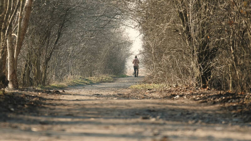 fot. UM Wrocławia